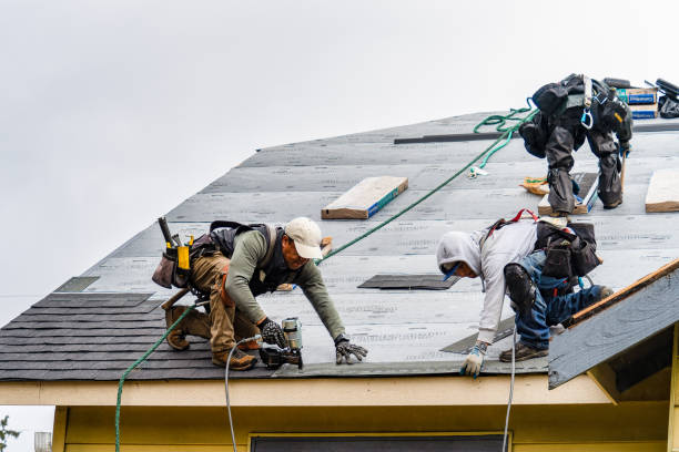 Professional Gutter Installation technician working in Howey-in-the-Hills, FL